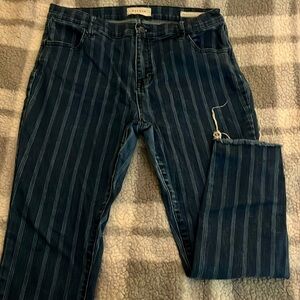Pacsun Pinstripe Denim Ankle Jegging
Size 32